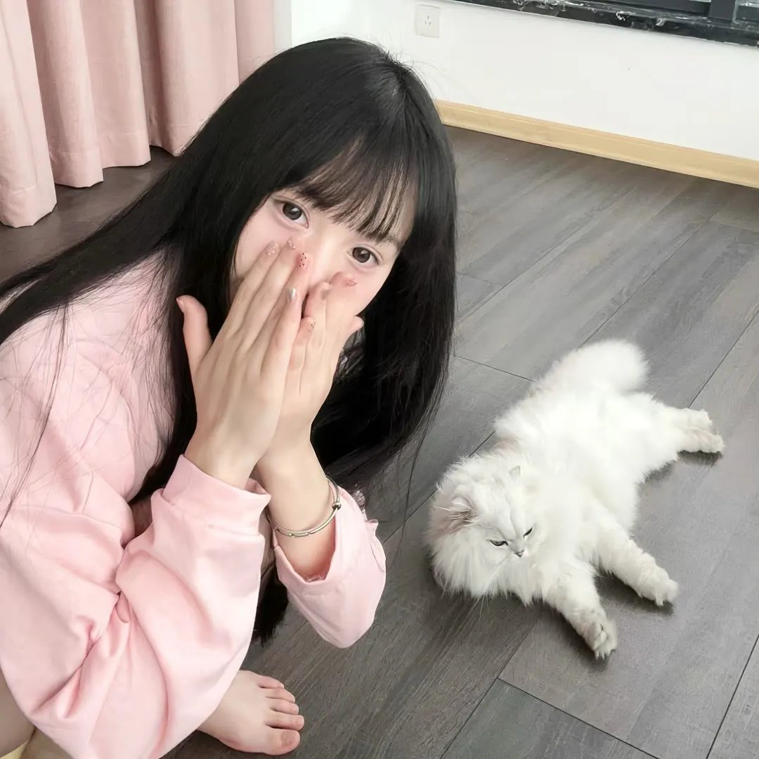 韩公主封面